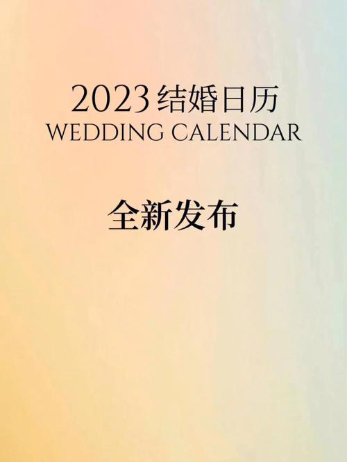 23年是什么婚