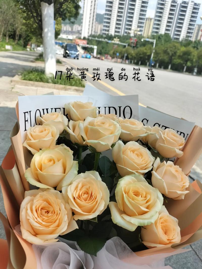 17朵玫瑰代表什么意思