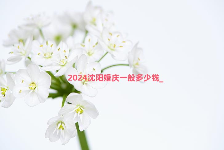 2024沈阳婚庆一般多少钱
