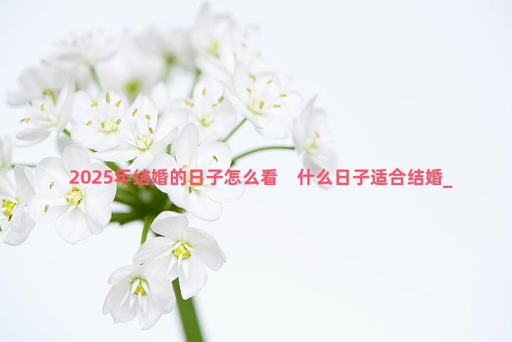 2025年结婚的日子怎么看　什么日子适合结婚
